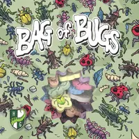 Bag of Bugs Brädspel 