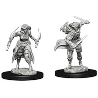D&D Figur Nolzur Tiefling Rogue Female Nolzur's Marvelous Miniatures - Ej målad