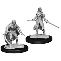 D&D Figur Nolzur Half-Elf Rogue Female Nolzur's Marvelous Miniatures