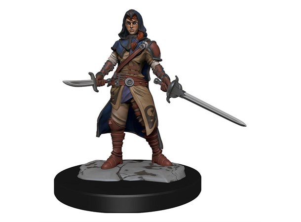 D&D Figur Nolzur Half-Elf Rogue Female Nolzur's Marvelous Miniatures 