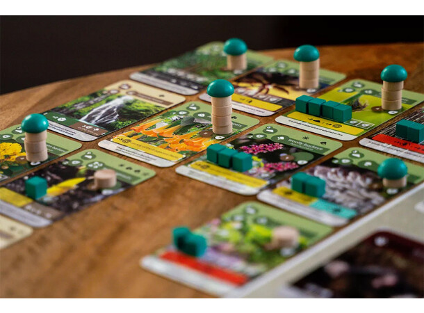 Earth Brädspel 