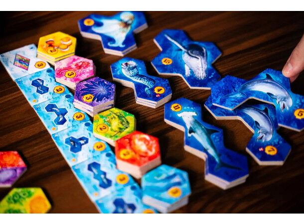 Aqua Brädspel Svensk utgåva 