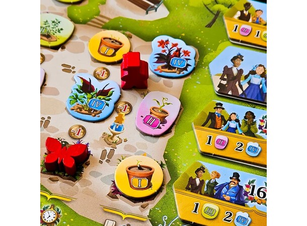 Botanicus Brädspel 
