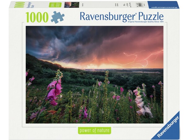 Dreamy Thunder 1000 bitar Pussel Ravensburger Puzzle 