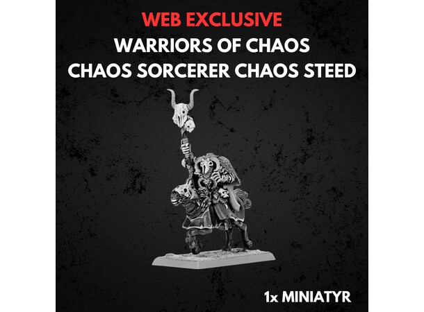 Warriors of Chaos Sorcerer Chaos Steed Warhammer The Old World 