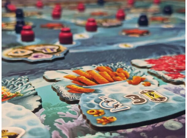 Reef Project Brädspel 