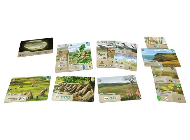 Forest Shuffle Dartmoor Exmoor Exp Expansion till Forest Shuffle 