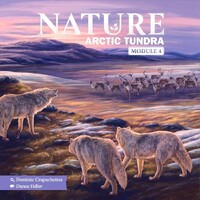 Nature Arctic Tundra Expansion Expansion till Nature