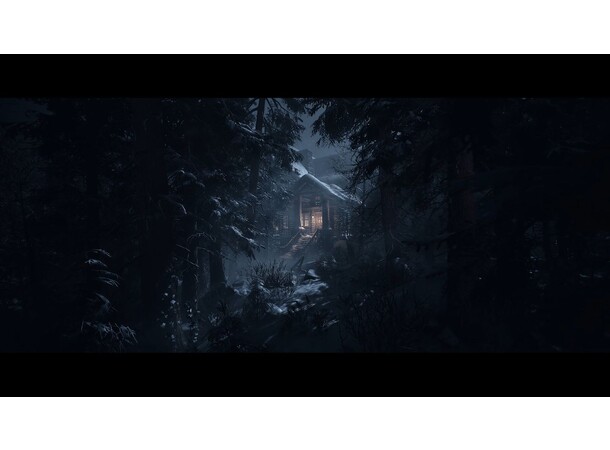 Untill Dawn PS5 