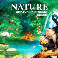 Nature Amazon Rainforest Expansion Expansion till Nature