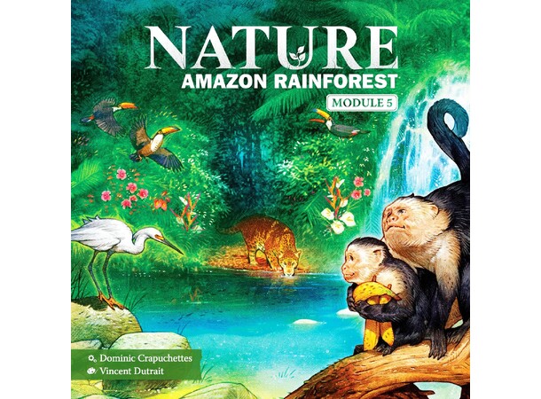 Nature Amazon Rainforest Expansion Expansion till Nature 