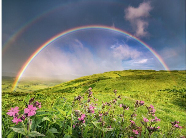 Rainbowscape 1500 bitar Pussel Ravensburger Puzzle 