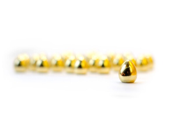 Wingspan & Wyrmspan Golden Eggs Expansion till Wingspan & Wyrmspan 