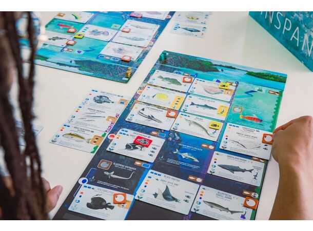 Finspan Brädspel 