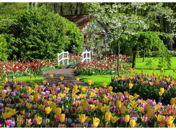 Keukenhof Gardens 1000 bitar Pussel Ravensburger Puzzle 