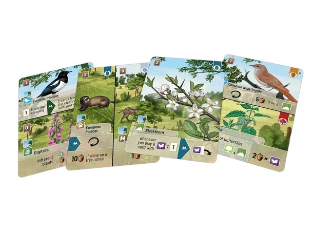 Forest Shuffle Woodland Edge Expansion Expansion till Forest Shuffle 