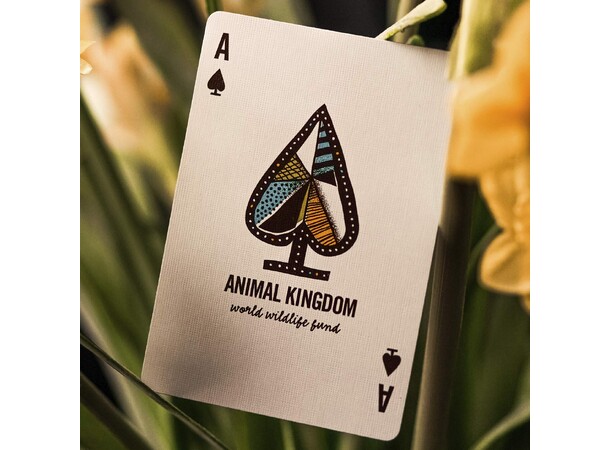 Theory 11 Kortlek Animal Kingdom 